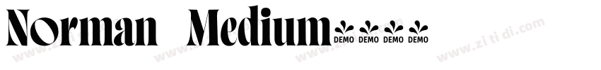 Norman   Medium字体转换